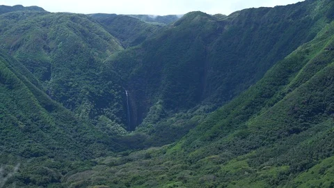 Beautiful dense forest and waterfall on a sunny day Stock-Footage 97589888
