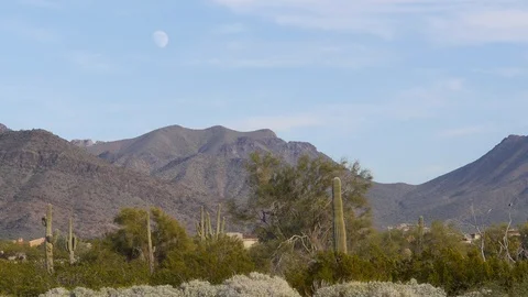 Beautiful desert landscape - Phoenix, AZ Stock Footage 99994084