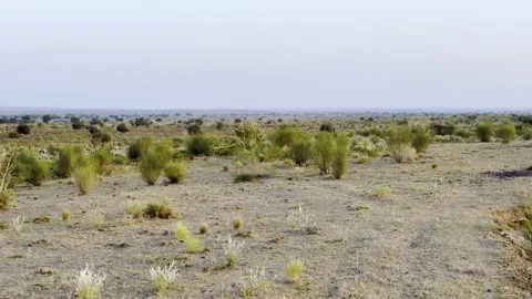 Beautiful desert landscape of Western side of DNP Jaisalmer Stock Footage 347015388