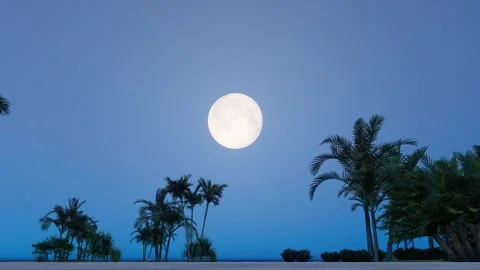 The beautiful desert moon rises Stock Footage 288076767