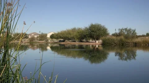 Beautiful desert pond Stock Footage 44399519