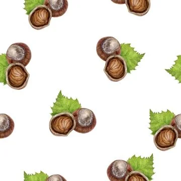 A beautiful design featuring hazelnuts combined with a lively leaves watercolor Stock Illustration