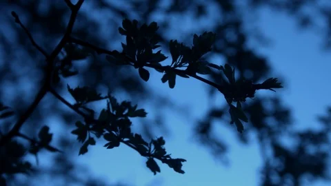 Beautiful desolate. Dusk Stock Footage 122636157