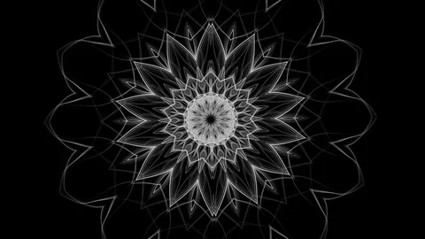 Beautiful developing flower pattern - seamless looping (FULL HD) Video stock 83898212