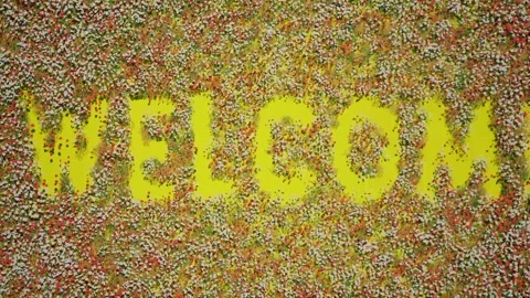 Beautiful different colored flowers grow on a yellow background Stock Footage 274722706