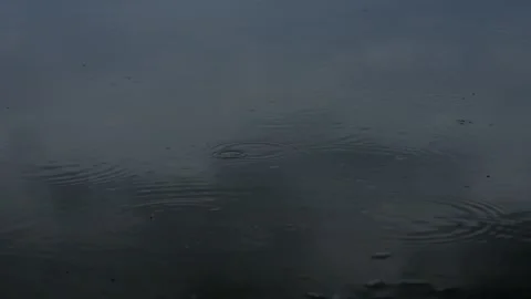 A Beautiful Display of Rainy Reflections on the Tranquil Water Surface of a Pond Stock Footage 306014423