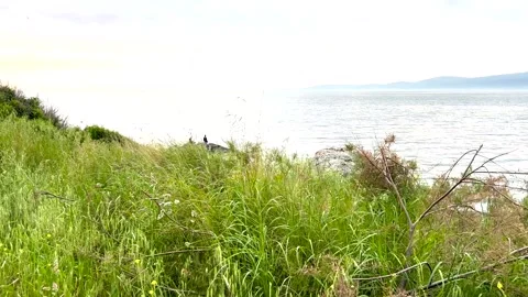 Beautiful distant view of two men fishing on a lush, mountain view beach Stock Footage 310102161