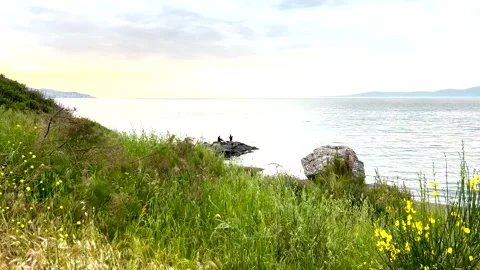 Beautiful distant view of two men fishing on a lush, mountain view beach Stock Footage 310173378