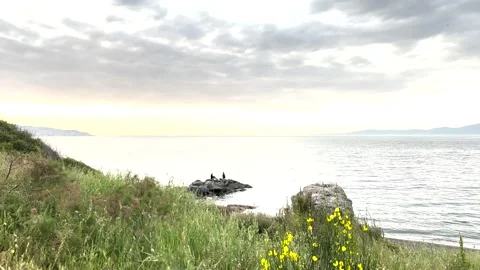 Beautiful distant view of two men fishing on a lush, mountain view beach Stock Footage 310173617