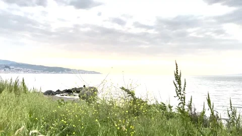 Beautiful distant view of two men fishing on a lush, mountain view beach Stock Footage 310173648