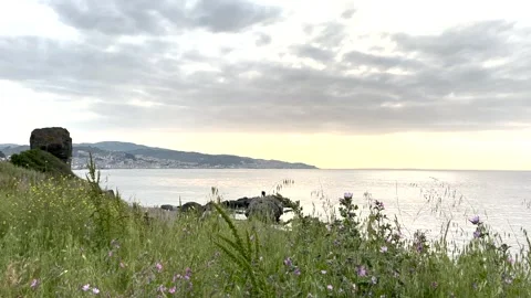 Beautiful distant view of two men fishing on a lush, mountain view beach Stock Footage 310173749