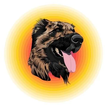 Beautiful dog icon. Vector muzzle dog. 库存插图