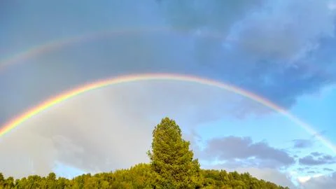 Beautiful double multi-colored rainbow over forest with tall tree in the center Foto stock