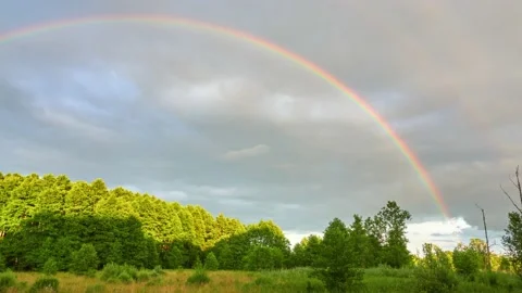 Beautiful double rainbow over edge of forest in evening. Stock Footage 205900763