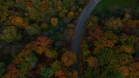 Beautiful Down-to-Earth View of Autumn Trees infront of Toronto City Stock Footage 254384191