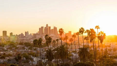 Beautiful Downtown Los Angeles and Palm Trees Day to Night Sunset Timelapse Stock Footage