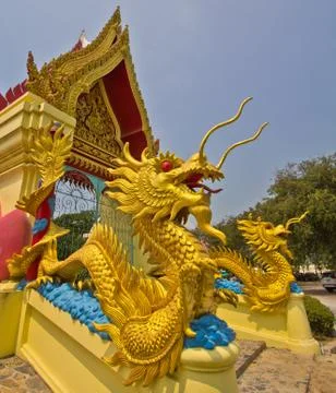 Beautiful dragon Stock Photos