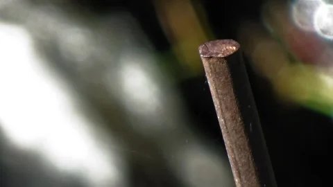 A beautiful dragonfly perched on rusty iron Stock Footage 304471209
