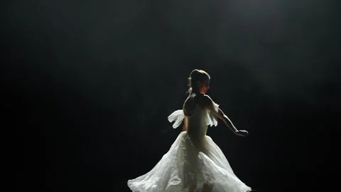 Beautiful dramatic dance, elegant ballerina in a white tutu, perform 스톡 동영상 245978604