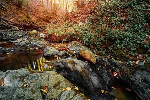 Beautiful dramatic forest landscape with rocks and water springs Stock Photos