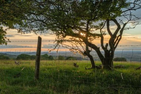 Beautiful dramatic Summer sunset landscape over English countryside with stun Foto stock