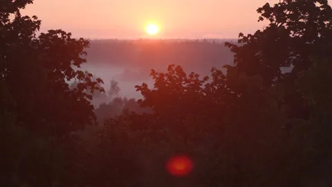 Beautiful dramatic sunrise and cloudy misty dark forests and meadows Stock Footage 131232792