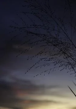 Beautiful dramatic sunset paints the sky. Stock Photos