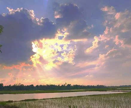 Beautiful Dramatic Sunset Sky Over Flooded Rice Fields Stock Photos