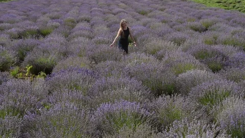 Beautiful dreamy woman wearing traditional dress walk through the purple field. Stock Footage
