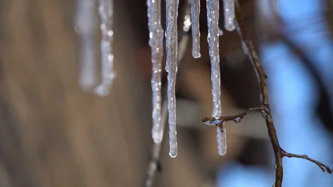 Beautiful dripping icicles on a warm bright sunny day.Melting Icicles Stock Footage 125808237