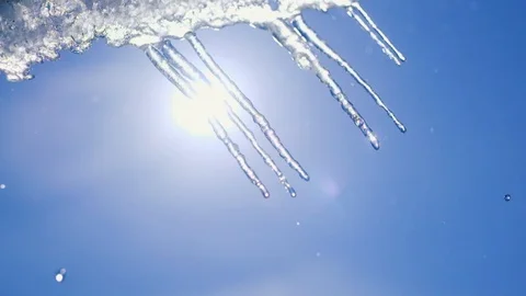 Beautiful dripping icicles on a warm bright sunny day. Melting icicle on a blue Stock Footage 127707244