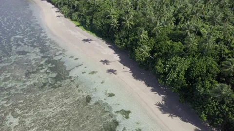 Beautiful drone aerial over pristine beach in Fiji Stock Footage 206902840