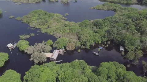 Beautiful drone aerial view of Amazon rainforest trees, houses and boats on the  Stock Footage 232724734