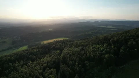 Beautiful drone flight over a huge forest at sunset Stock Footage 200961471