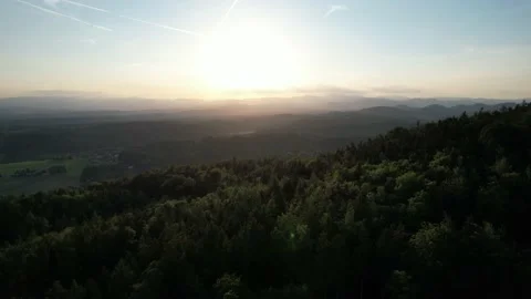 Beautiful drone flight over a huge forest at sunset Stock Footage 200962825