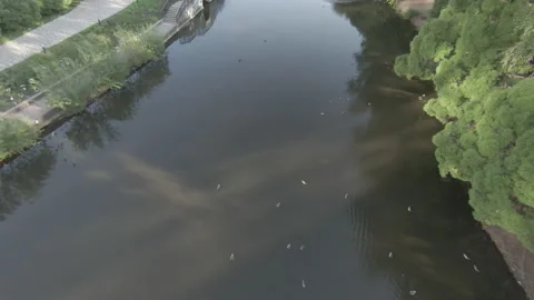 Beautiful drone flight over the river in the city park of Yekaterinburg. Footage Stock Footage 234040652
