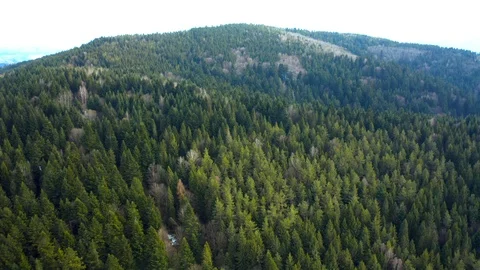 Beautiful drone flights over forests with beautiful views of mountains and fores Stock Footage 127085835