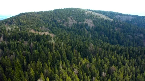 Beautiful drone flights over forests with beautiful views of mountains and fores Stock Footage 127085846