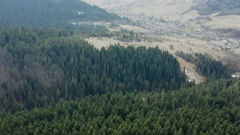 Beautiful drone flights over forests with beautiful views of mountains and fores Stock Footage 127085893