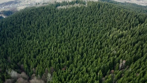 Beautiful drone flights over forests with beautiful views of mountains and fores Stock Footage 127085907