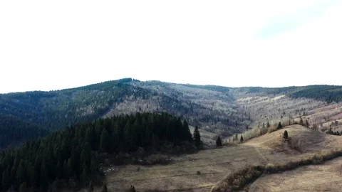 Beautiful drone flights over forests with beautiful views of mountains and fores Stock Footage 127085954