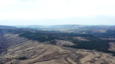 Beautiful drone flights over forests with beautiful views of mountains and fores Stock Footage 127085955