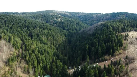 Beautiful drone flights over forests with beautiful views of mountains and fores Stock Footage 127085970
