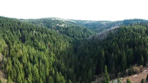 Beautiful drone flights over forests with beautiful views of mountains and fores Stock Footage 127085991