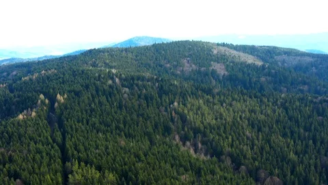 Beautiful drone flights over forests with beautiful views of mountains and fores Stock Footage 127086034