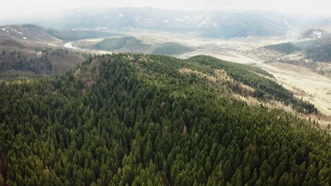 Beautiful drone flights over forests with beautiful views of mountains and fores Stock Footage 127086097
