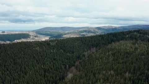 Beautiful drone flights over forests with beautiful views of mountains and fores Stock Footage 127086201