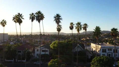 Beautiful drone shot panning a palm tree lined street dotted with houses Stock Footage 201660751