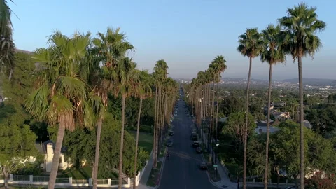 Beautiful drone shot of tall palm trees in Los Angeles neighborhood Stock Footage 138077341