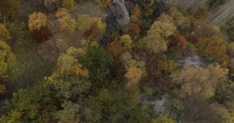 Beautiful drone shot of Tree towards the river and vellay Stock Footage 166370227